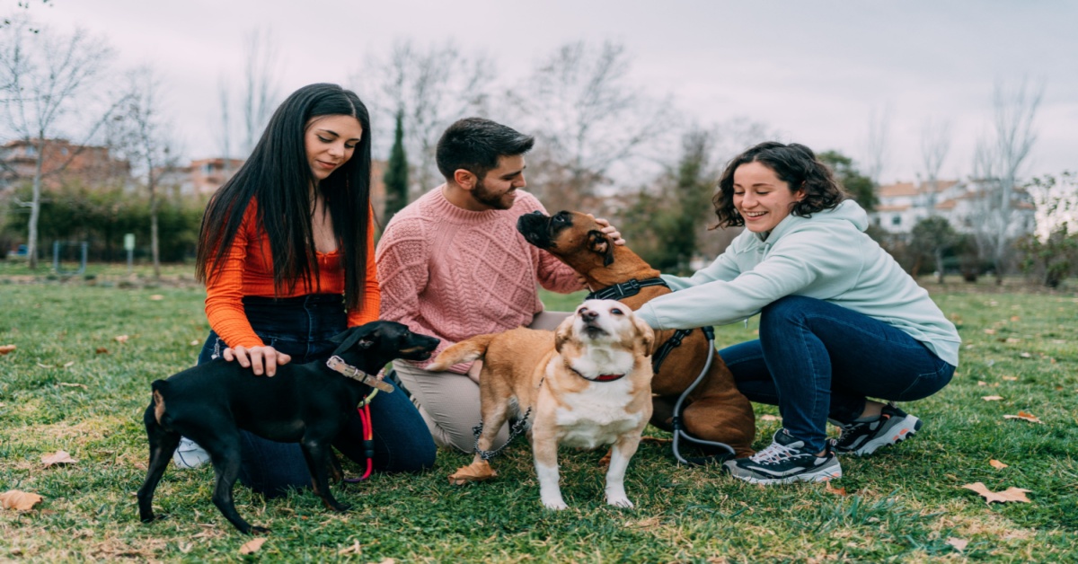 BBMP Pet Guidelines