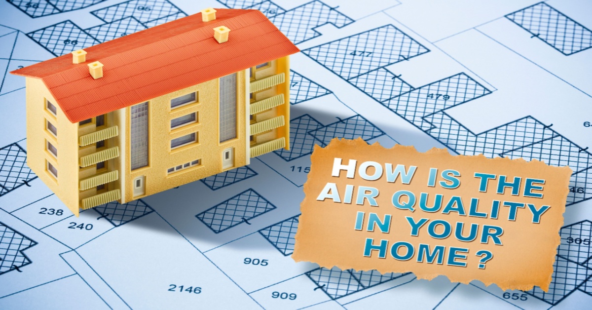 How can we purify air naturally at Home